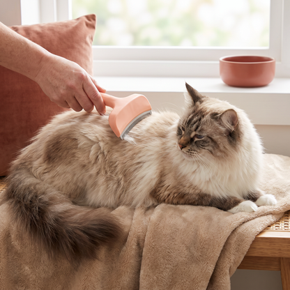 Unterwollrechen für Katzen – Extra breites Fellpflegewerkzeug für lose Haare & langes Fell