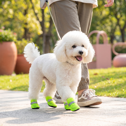 Atmungsaktive Mesh-Hundeschuhe für heiße Tage – mit weicher Sohle für kleine & große Hunde