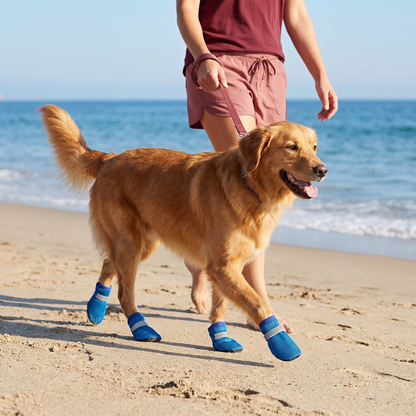 Atmungsaktive Mesh-Hundeschuhe für heiße Tage – mit weicher Sohle für kleine & große Hunde