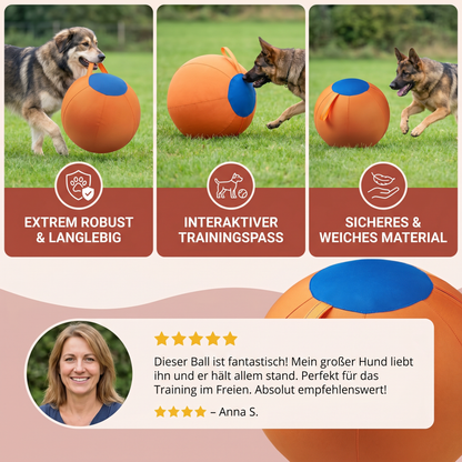 Robuster Trainingsball mit Hülle für Hunde