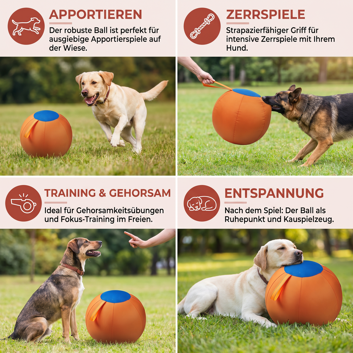 Robuster Trainingsball mit Hülle für Hunde