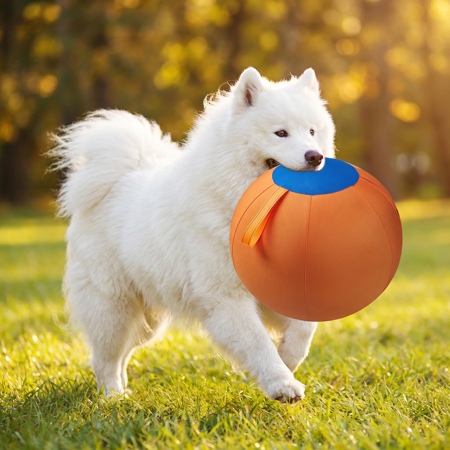 Robuster Trainingsball mit Hülle für Hunde