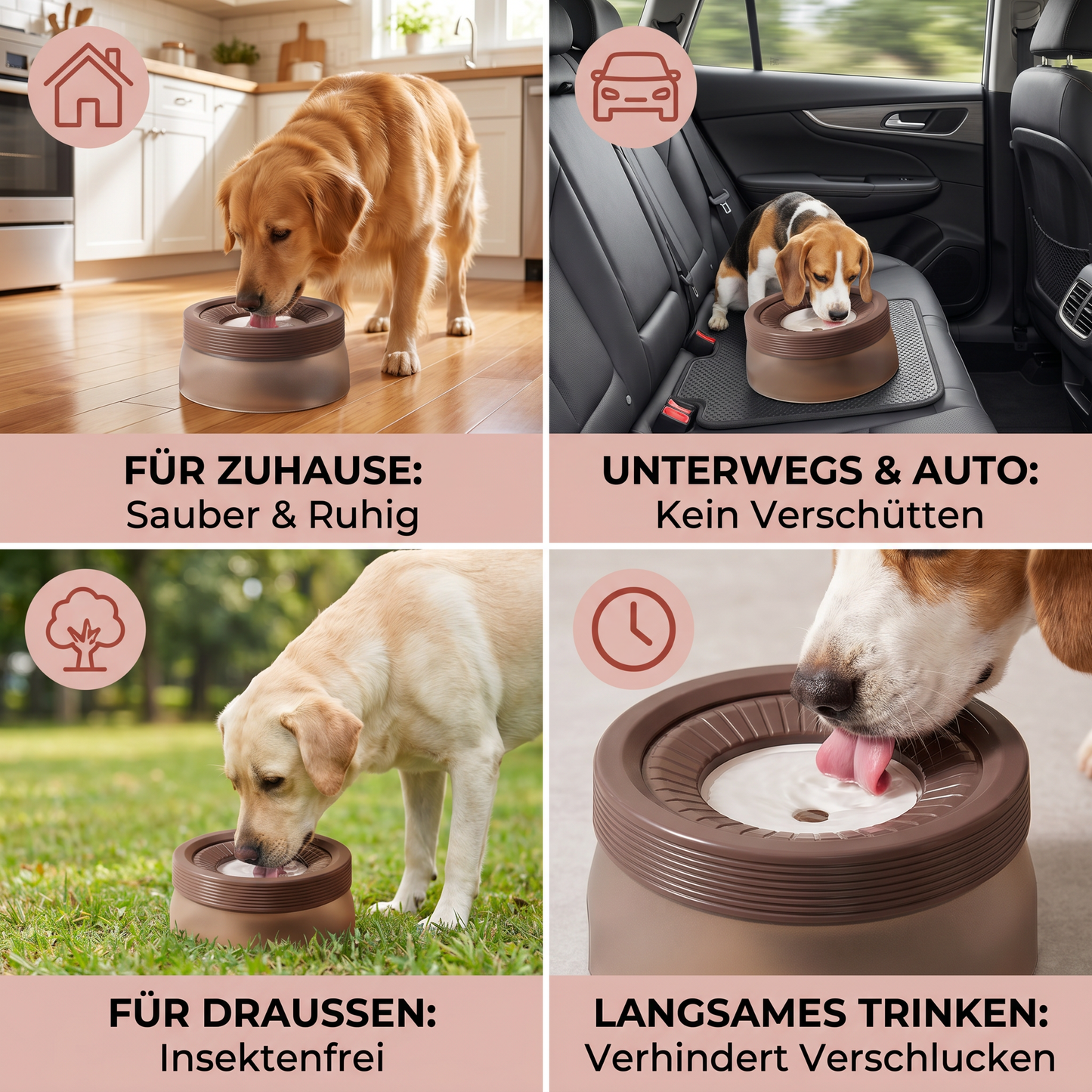 Auslaufsicherer Hundenapf