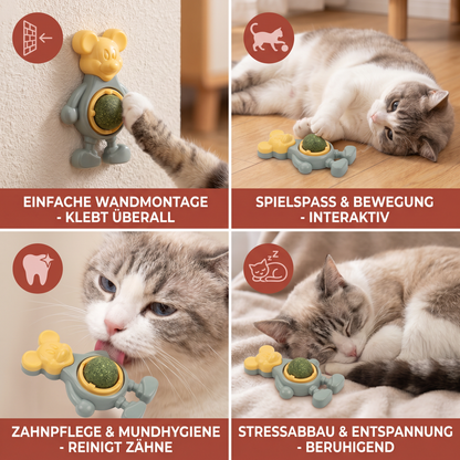 Katzenschnittkraut-Ball als Kauspielzeug