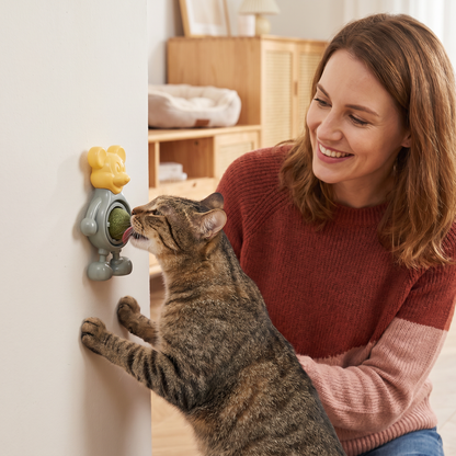 Katzenschnittkraut-Ball als Kauspielzeug