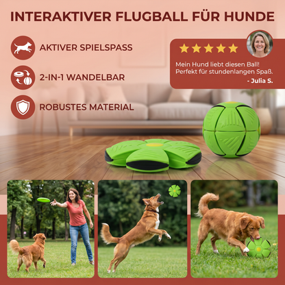 Interaktiver Flugball für Hunde