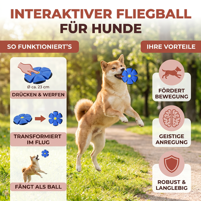 Interaktiver Flugball für Hunde