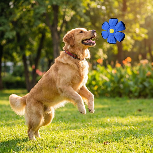Interaktiver Flugball für Hunde
