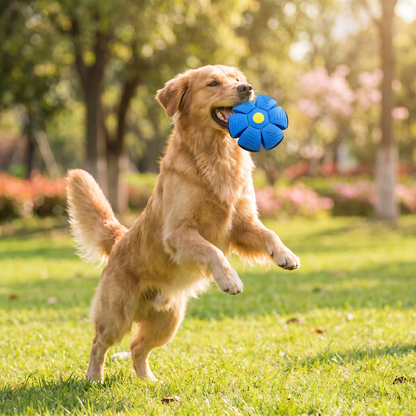 Interaktiver Flugball für Hunde