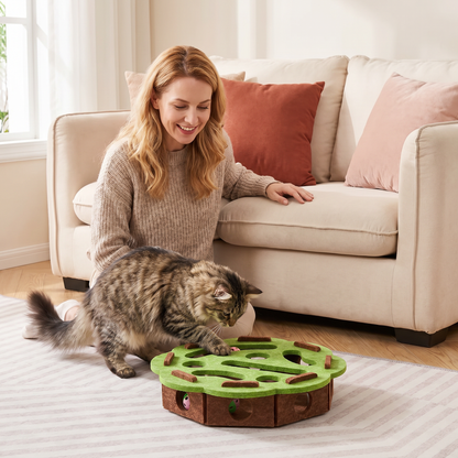 Interaktives Puzzle-Spielzeug aus Filz für Katzen
