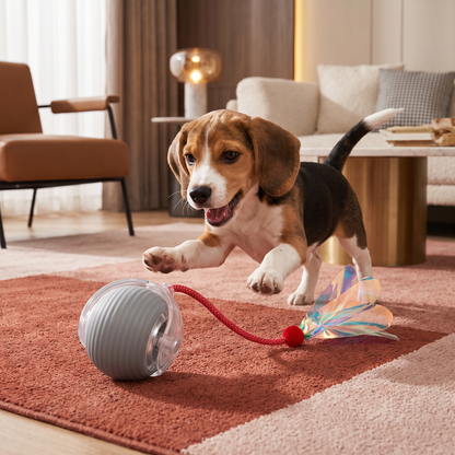 Verbesserter „Smart Rolling Dog Ball“ – strapazierfähiges interaktives Spielzeug mit Netzschwanz