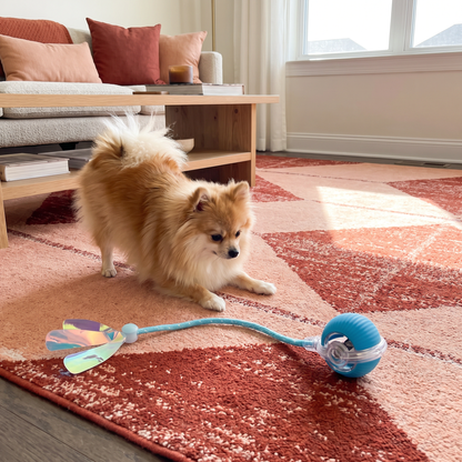 Verbesserter „Smart Rolling Dog Ball“ – strapazierfähiges interaktives Spielzeug mit Netzschwanz