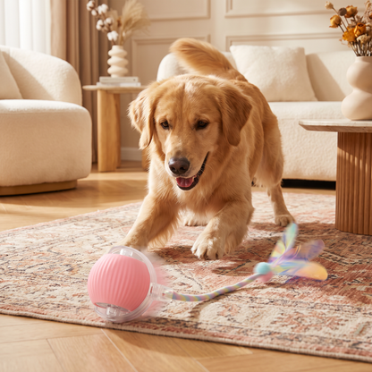 Verbesserter „Smart Rolling Dog Ball“ – strapazierfähiges interaktives Spielzeug mit Netzschwanz