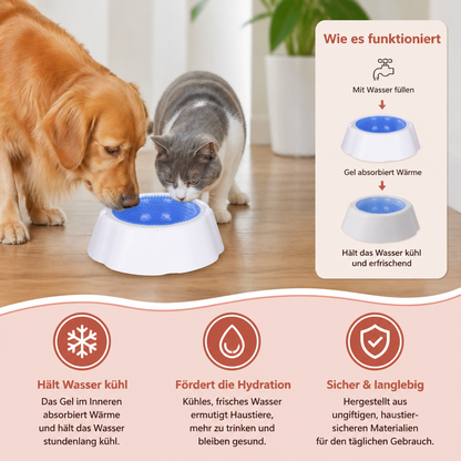 Kühlende Haustier Wasserschüssel für Hunde und Katzen