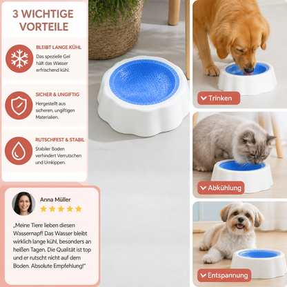 Kühlende Haustier Wasserschüssel für Hunde und Katzen