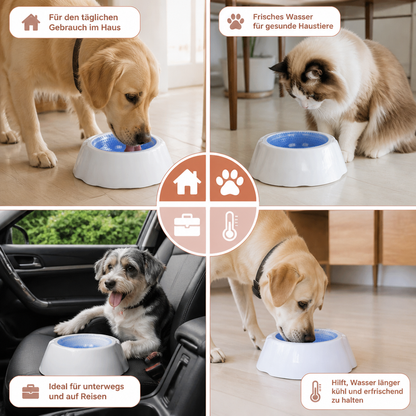 Kühlende Haustier Wasserschüssel für Hunde und Katzen