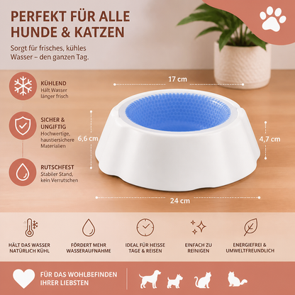 Kühlende Haustier Wasserschüssel für Hunde und Katzen