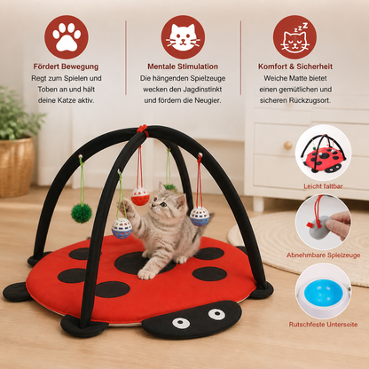 Faltbares Katzen Spielzelt mit hängenden Spielzeugen und Aktivitätsmatte