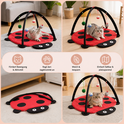 Faltbares Katzen Spielzelt mit hängenden Spielzeugen und Aktivitätsmatte