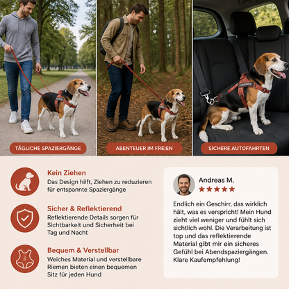 Individuell gestaltetes, reflektierendes No-Pull-Hundegeschirr mit personalisiertem Namensaufnäher