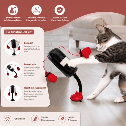 Robustes interaktives Katzen-Boxspielzeug mit Boxsack