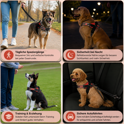 Reflektierendes verstellbares Hundegeschirr mit 3 Leinenclips – Gepolstert für Spaziergänge & Training