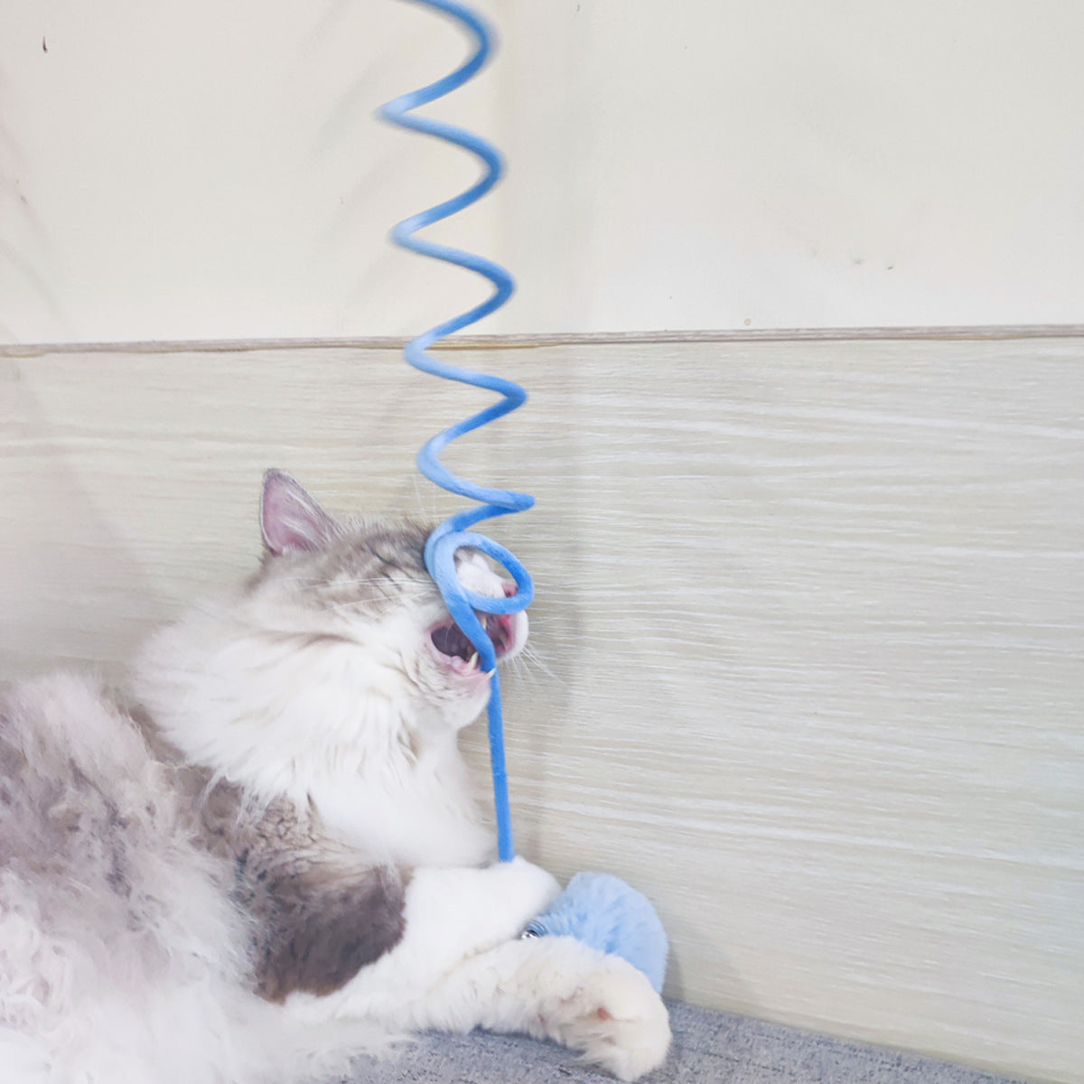 Interaktives Katzen Gummizug Spielzeug