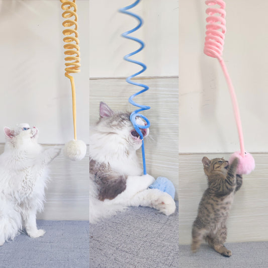Interaktives Katzen Gummizug Spielzeug