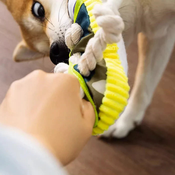 Quietsch-Slipper mit Robustem Baumwollseil – Zahnpflege & Spielspaß für Hunde
