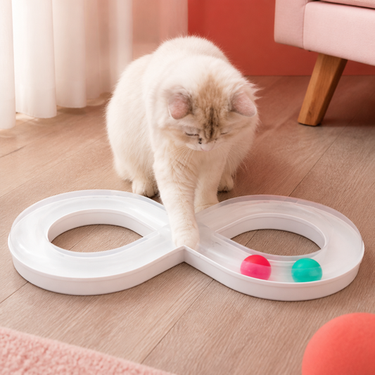 Interaktives Trackball-Spielzeug für Katzen
