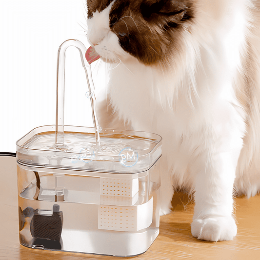Premium Haustier Trinkbrunnen für Sauberes Wasser