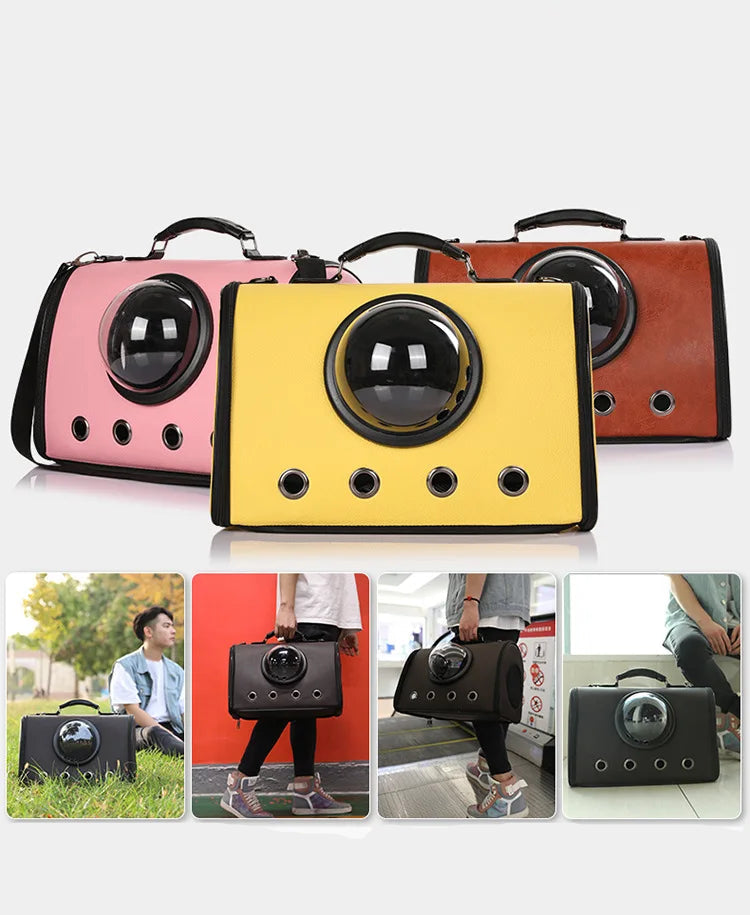 Flugzeug Und Auto Reisetasche Für Haustiere