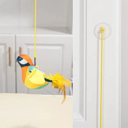 Hängender Vogel Katzenspielzeug