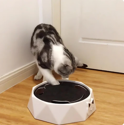 Interaktives Katzenspielzeug mit beweglicher Maus
