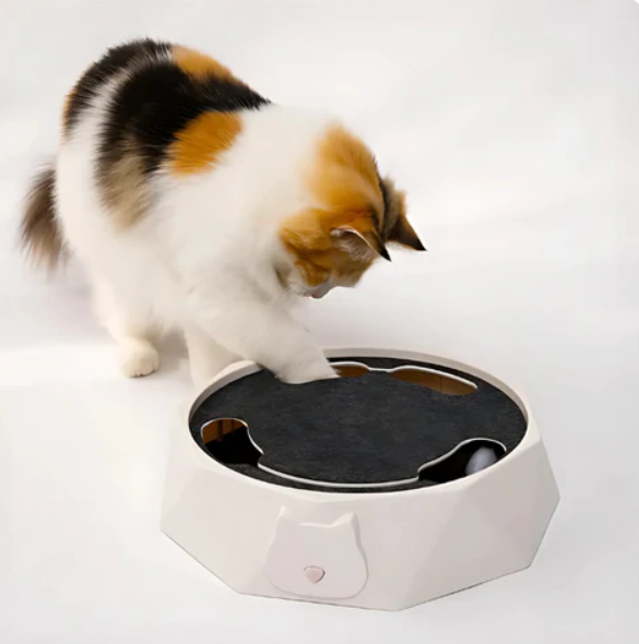 Interaktives Katzenspielzeug mit beweglicher Maus