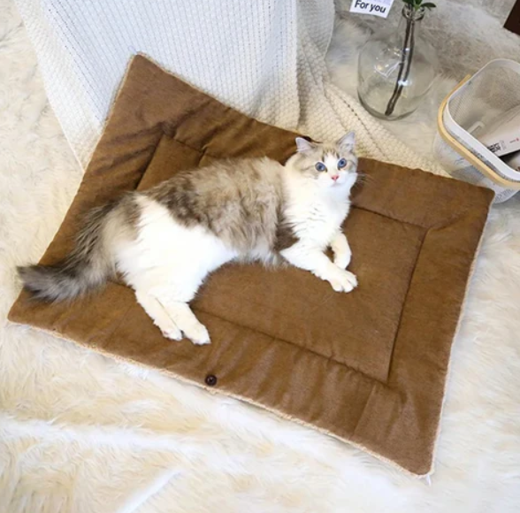 2-in-1 Kuschelbett und Decke für Katzen