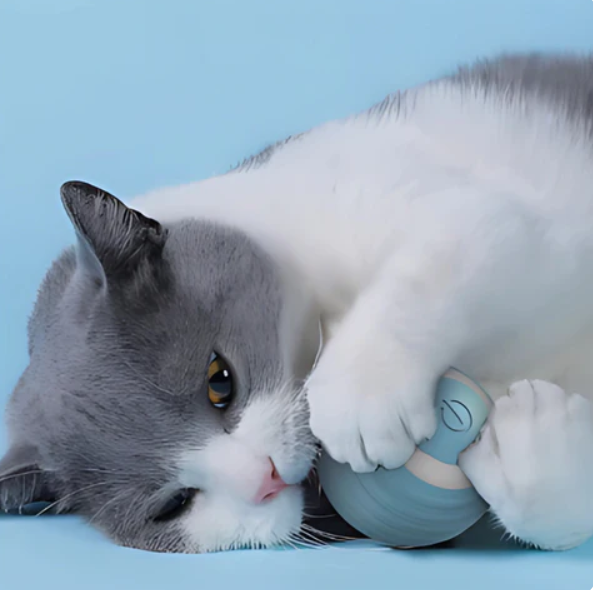 Rollender Spielball für Katzen mit Federschwanz