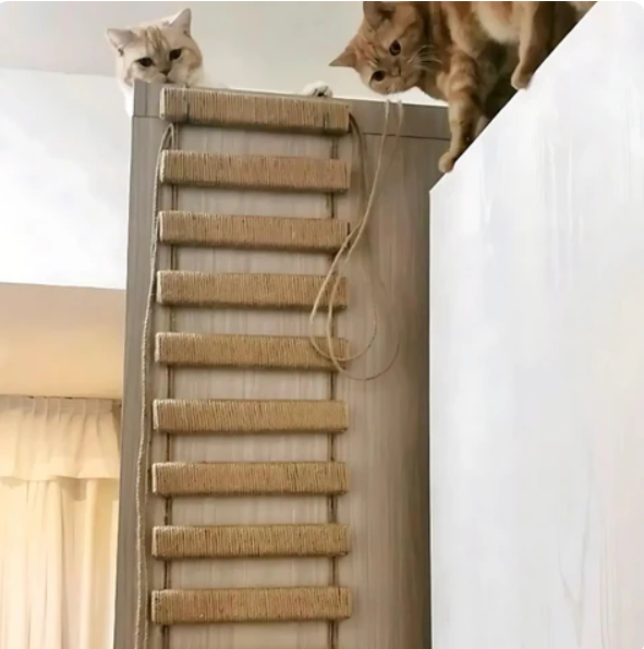 Kletterbrücke und Hängeleiter für Katzenwandmontage