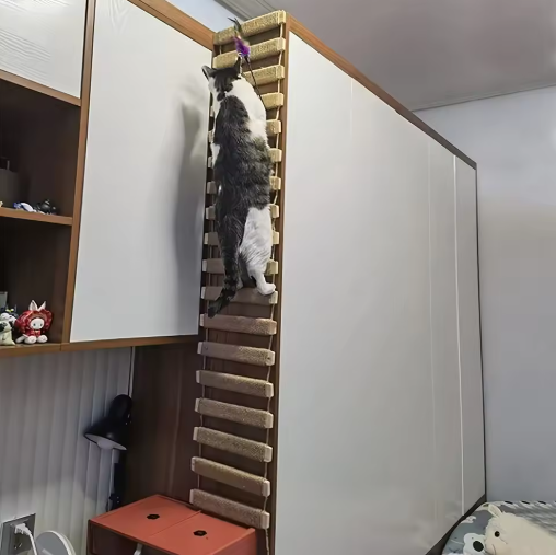Kletterbrücke und Hängeleiter für Katzenwandmontage