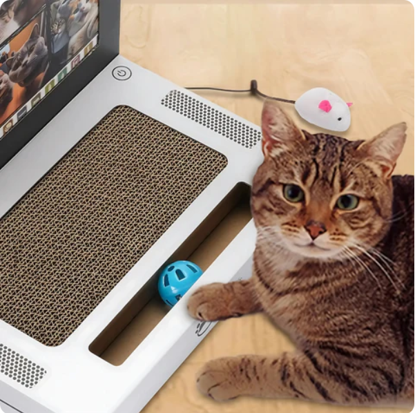 Katzen Kratzbrett Laptop