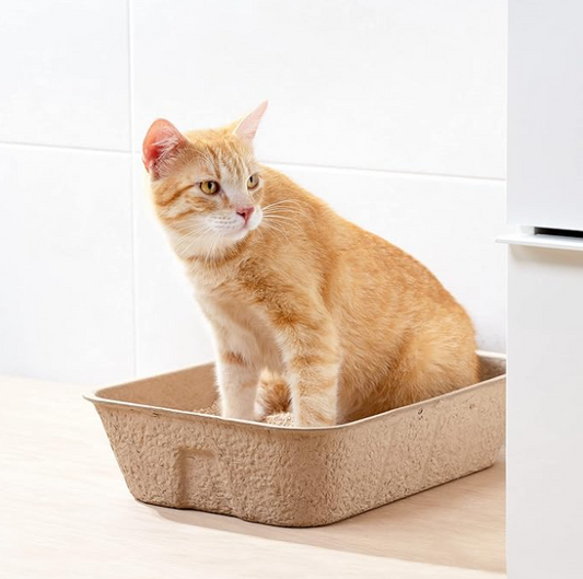 Biologisch Abbaubare Katzenstreu Box – Nachhaltige Hygiene für Dein Haustier