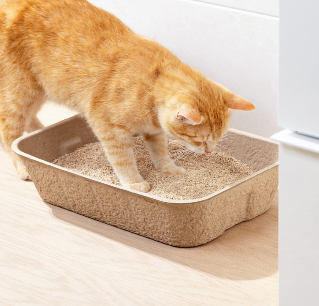 Biologisch Abbaubare Katzenstreu Box – Nachhaltige Hygiene für Dein Haustier