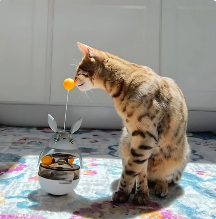 Interaktives Snack- und Spielzeug für Katzen mit Wackelfunktion