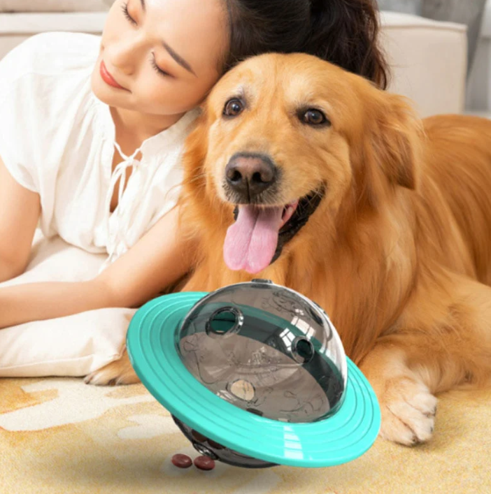 Hundespielzeug mit Leckerli-Ausgabe und Interaktivität