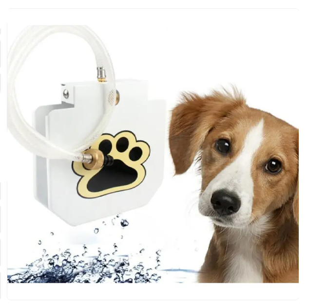 Trittfeste Hundetrinkquelle für Draußen mit Wasseranschluss und Pfotenaktivierung