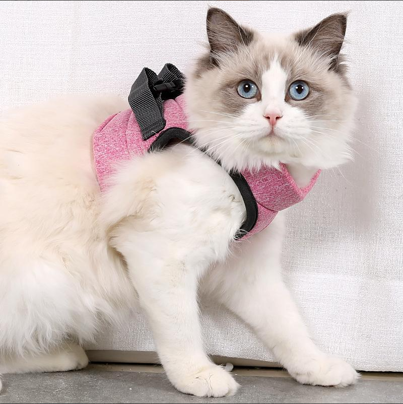 Katzen-Geschirr mit Leine
