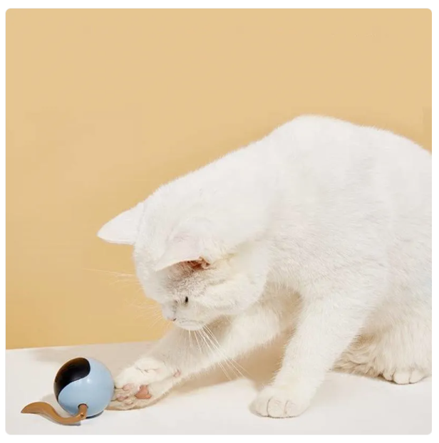 Interaktives Katzen-Spielzeug mit LED-Lichtern – Kugelförmiges Spielzeug für Katzen