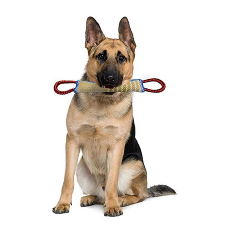 Beißwurst Für Hunde – Robustes Jute-trainingsspielzeug Mit Griffen Für Welpen  Erwachsene Hunde