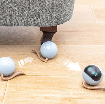 Interaktives Katzen-Spielzeug mit LED-Lichtern – Kugelförmiges Spielzeug für Katzen