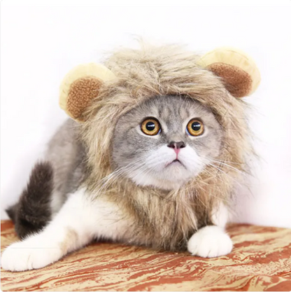Löwenmähne für Katzen mit Ohren für Verkleidung und Lustige Fotos